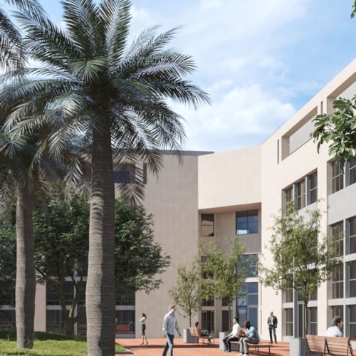 WhatsApp Image 2025-01-22 at 16.52.22